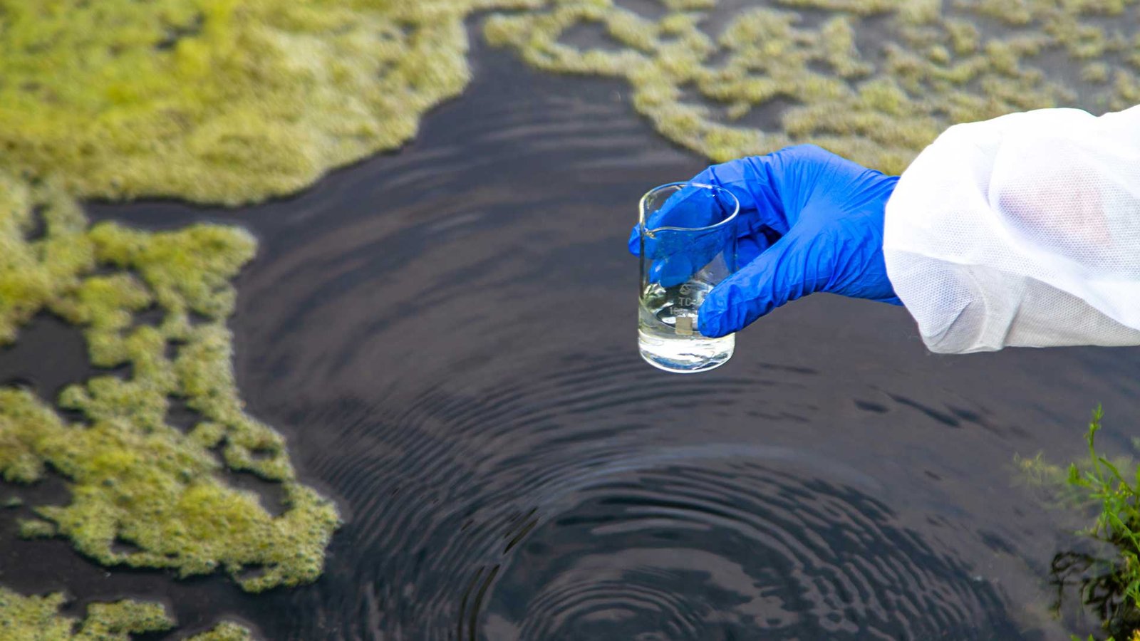 Environmental Litigation