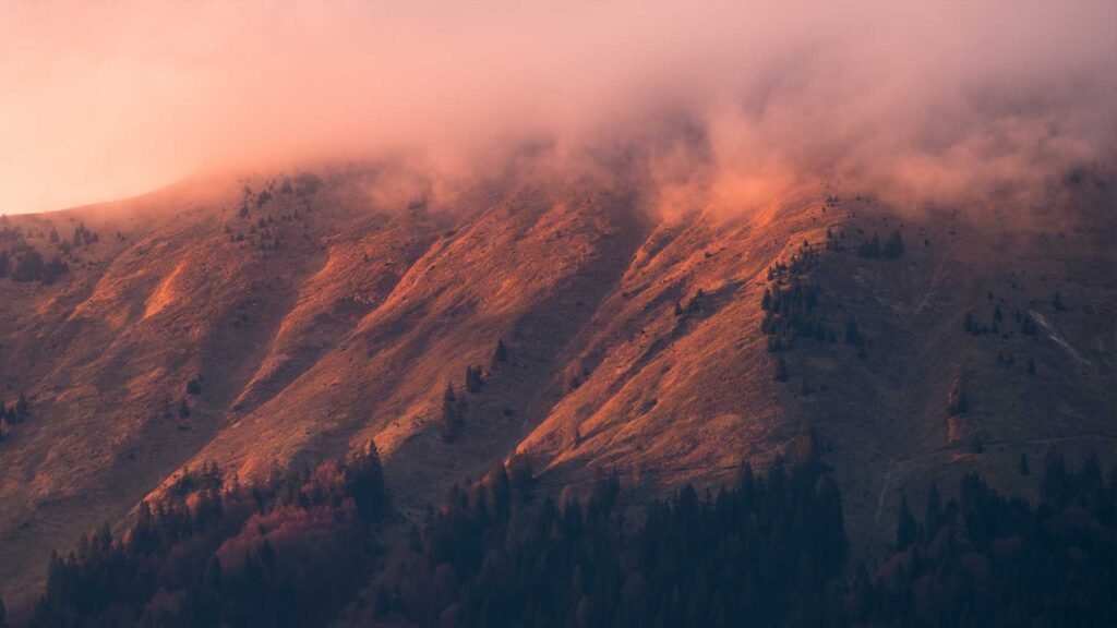 dixie fire