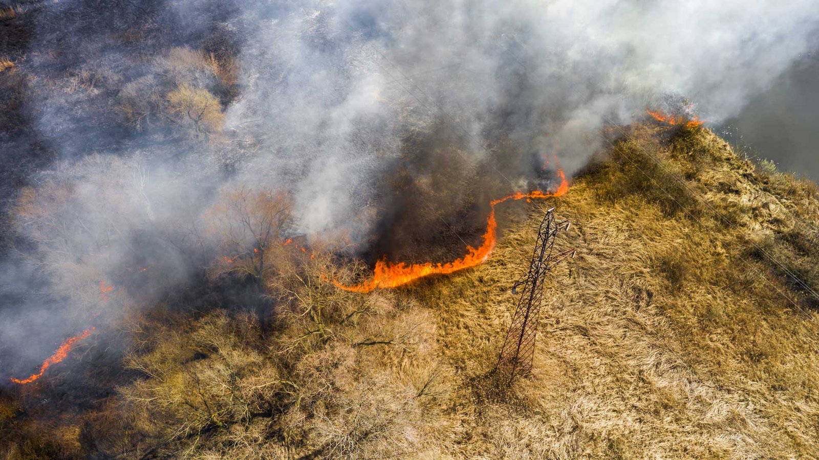 wildfire litigation